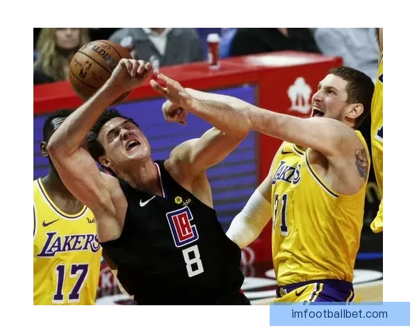 NBA红彩数据库专业预测平台深度分析精准推荐助您轻松把握比赛走势